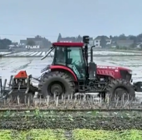 您負責統(tǒng)籌全局，它負責腳踏實地